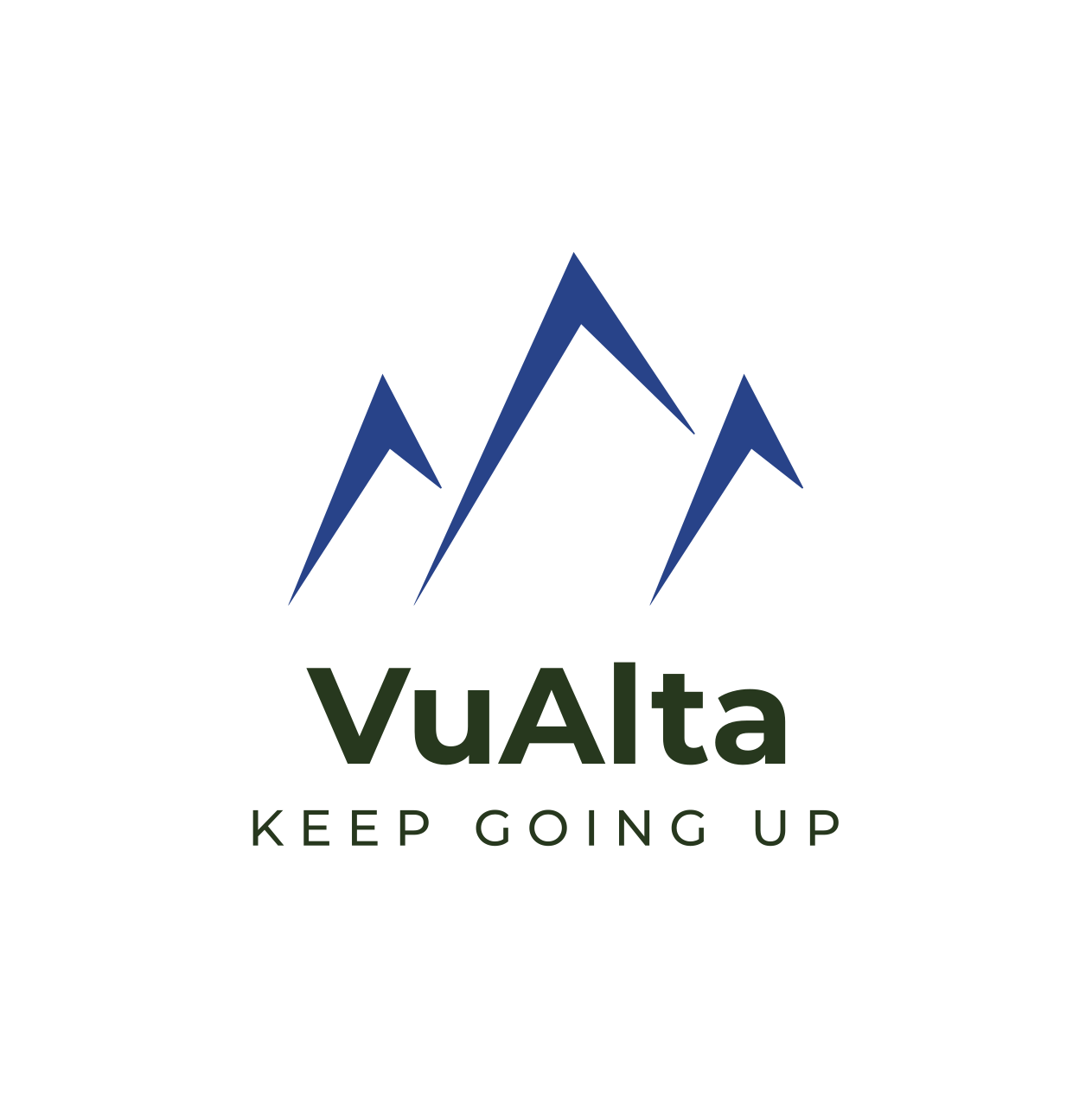 VuAlta Logo